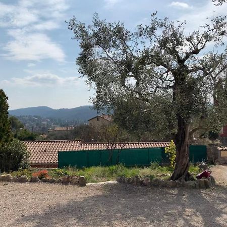 Rez De Villa Peymeinade Εξωτερικό φωτογραφία